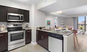 Silver Spring apartment for rent - A modern kitchen with dark brown cabinets and stainless steel appliances.