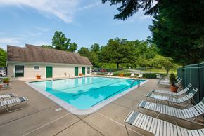 Bethesda townhouse for rent - A pool surrounded by chairs and trees.