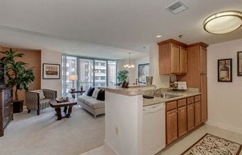 Designer kitchens with pass-through to dining area