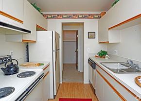 Farmington Hills apartment for rent - a kitchen with a sink and a refrigerator