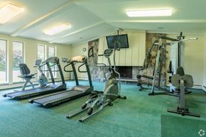 Westland apartment for rent - a home gym with exercise equipment and a fireplace