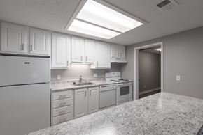 Ann Arbor apartment for rent - A kitchen with white cabinets and granite countertops.