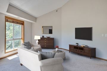 St. Paul apartment for rent - a living room with a couch and a tv
