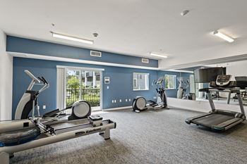 The gym