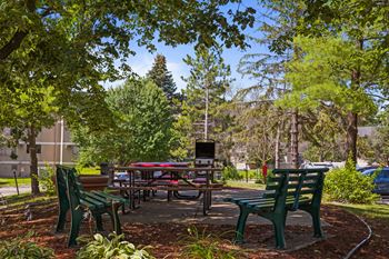 Picnic area
