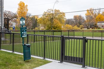 Dog run
