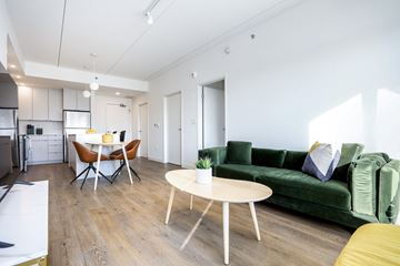 Winnipeg apartment for rent - a living room with a green couch and a table