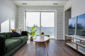 Winnipeg apartment for rent - a living room with a green couch and a large window