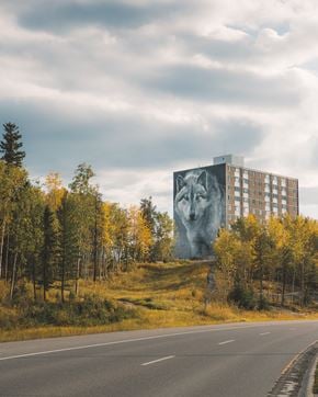 Thompson apartment for rent - A large building with a large image of a wolf on it is surrounded by trees with yellow leaves.