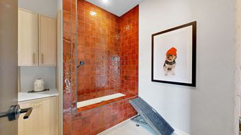 Pet wash facility