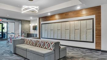 Luxer one package system