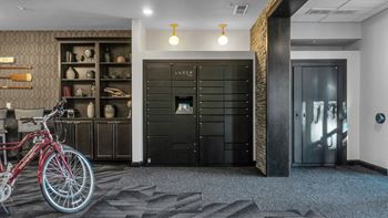 Luxer one package system