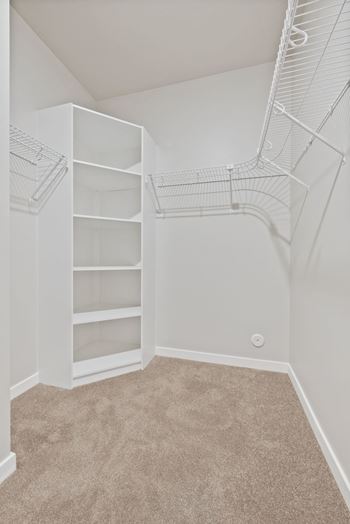 A white closet with shelves and a carpeted floor.