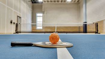 Ping pong table and equipment's