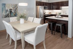 Minnetonka townhouse for rent - Upgraded kitchen with open layout