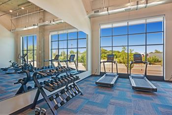 A gym with treadmills and a row of stationary bikes