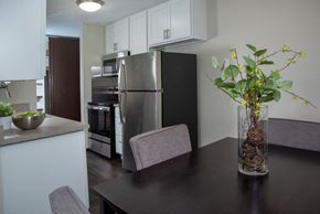 Minneapolis apartment for rent - Spacious Countertops and New Appliances in Kitchen of Minneapolis Apartment