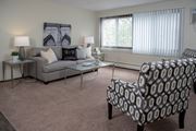 Minneapolis apartment for rent - Bright Carpeted Living Room with Large Windows at 600 10th Ave Apartments