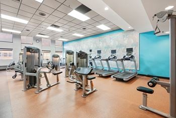 Peloton bike and training space