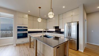 Four kitchen finish options