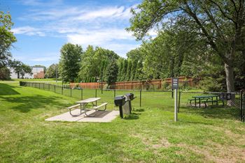 Paw park