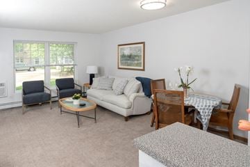 Mahtomedi apartment for rent - a living room with a couch a chair a table and a window