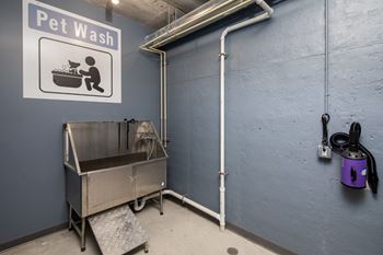 A pet wash