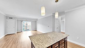 Lakeville apartment for rent - A spacious room with a granite countertop and wooden flooring.