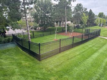 Dog park