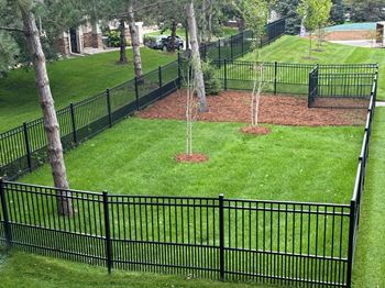 Dog run