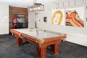 Chaska apartment for rent - game room with billiards