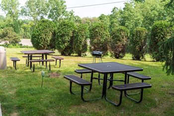 Picnic and bbq area