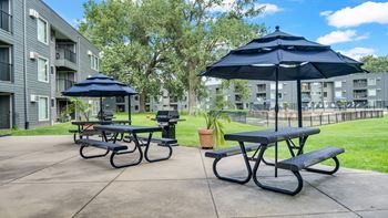 Picnic tables and bbq