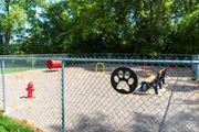 New Brighton apartment for rent - a dog standing next to a fire hydrant in a park