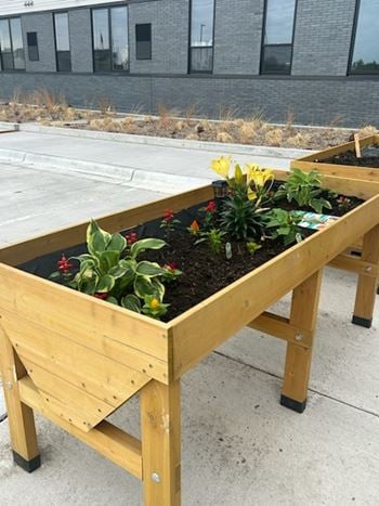 Community garden