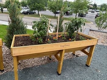 Community garden