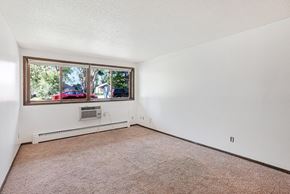 Saint Paul apartment for rent - the living room of a house with a large window