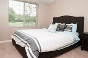 Carver apartment for rent - Bright Carver Crossing Master Bedroom with Light Carpet and Large Windows