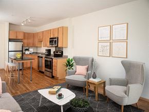 Minneapolis apartment for rent - Living And Kitchen View at Third North Apartments, Minneapolis