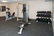 New Hope apartment for rent - a gym with weights and cardio equipment in a home gym