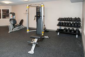 New Hope apartment for rent - a gym with weights and cardio equipment in a home gym