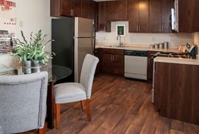 Saint Paul apartment for rent - a kitchen with stainless steel appliances and a table with chairs