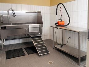 Saint Paul apartment for rent - Pet shower  at Terra Pointe Apartments, Saint Paul, Minnesota