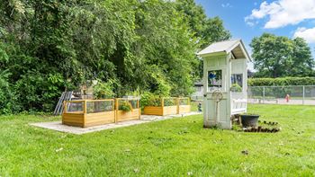 Community garden