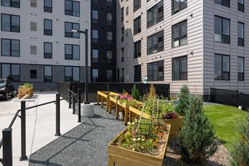 Community garden