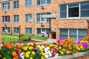 Saint Paul apartment for rent - flowers and entry