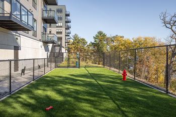 Dog wash and dog run