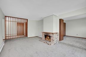 Bloomington apartment for rent - a living room with a fireplace and a wooden door