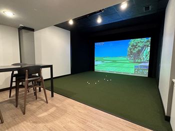 Golf simulator access