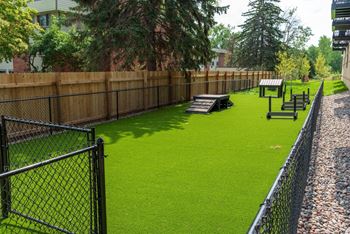Dog park